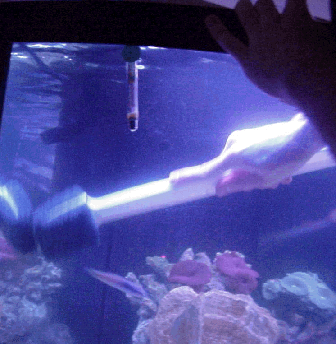 Cleaning a 180 gallon tank.