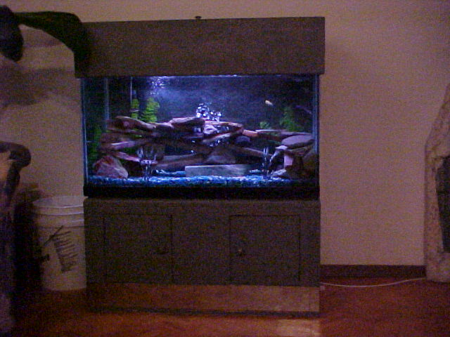 65 Gallon 