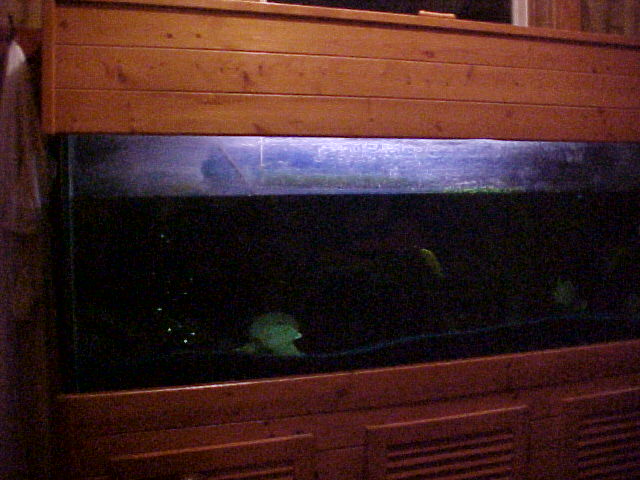 125 gallon