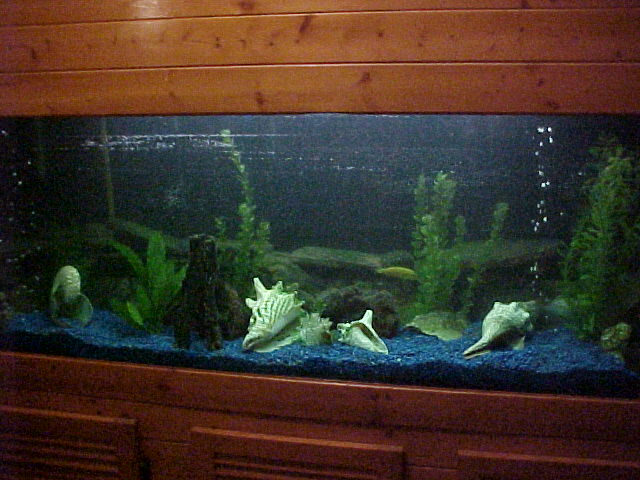 125 gallon